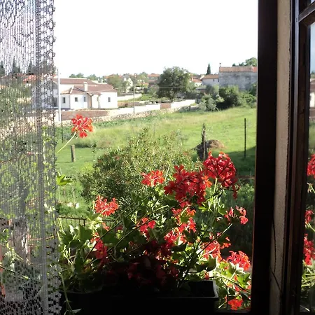 Holiday Antique Rakalj